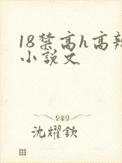 18禁高h高辣小说文