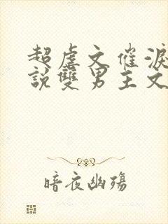 超虐文催泪的小说双男主文