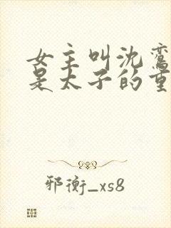 女主叫沈鸾男主是太子的重生小说