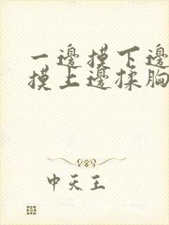 一边摸下边一边摸上边揉胸视频在线观看