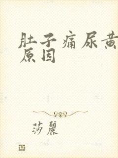 肚子痛尿黄什么原因