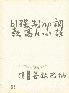 bl强制np调教高h小说