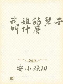 我姐的儿子叫我叫什么