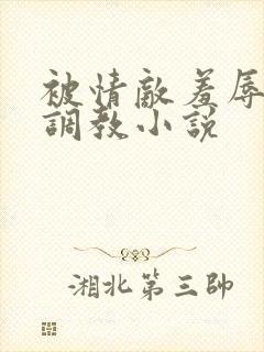 被情敌羞辱玩弄调教小说