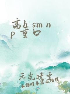 高h sm np 重口