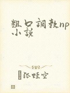 粗口调教np文小说