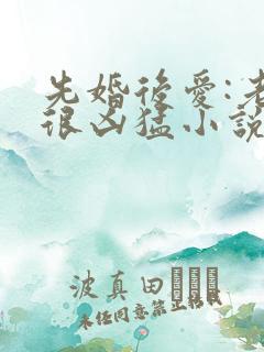 先婚后爱:老公很凶猛小说完整免费