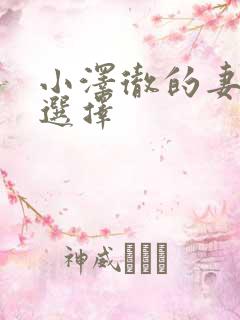 小泽彻的妻子的选择