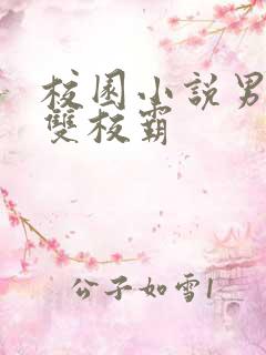 校园小说男女主双校霸