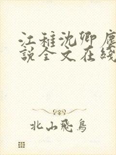 江稚沈卿尘的小说全文在线阅读无弹窗