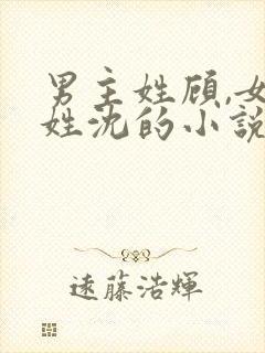 男主姓顾,女主姓沈的小说