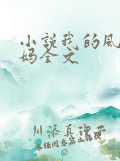 小说我的风流妈妈全文