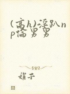 (高h)淫趴np伦男男