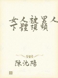 女人被男人插入下体视频