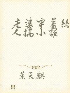 老婆穿着丝袜被人搞小说