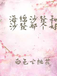 海绵沙发和乳胶沙发哪个好