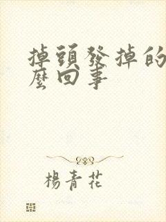 掉头发掉的多怎么回事