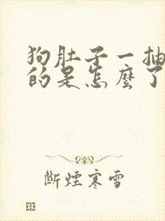 狗肚子一抽一抽的是怎么了