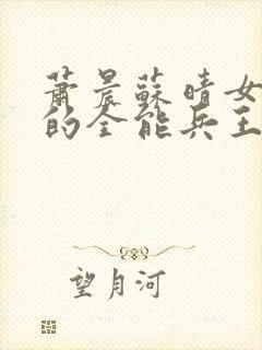 萧晨苏晴女总裁的全能兵王下载