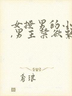 女撩男的小说 ,男主禁欲系现言文
