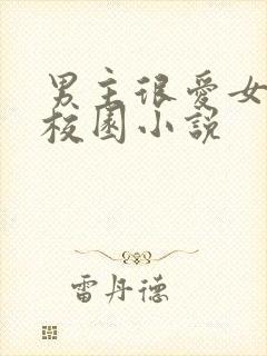 男主很爱女主的校园小说