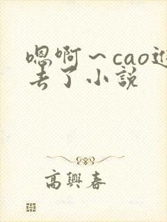 嗯啊～cao进去了小说