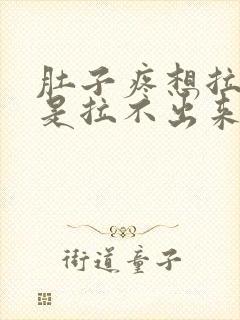 肚子疼想拉屎但是拉不出来一直放屁