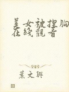 美女被捏胸视频在线观看