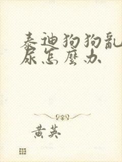 泰迪狗狗乱拉乱尿怎么办