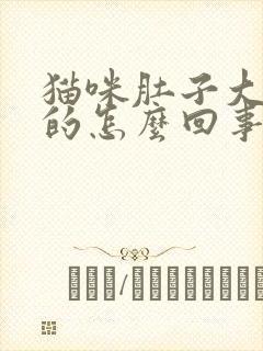 猫咪肚子大硬硬的怎么回事