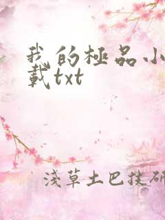 我的极品小姨下载txt