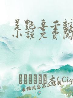 美艳妻子离婚后小说免费阅读