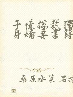 千亿总裁独宠替身娇妻书籍