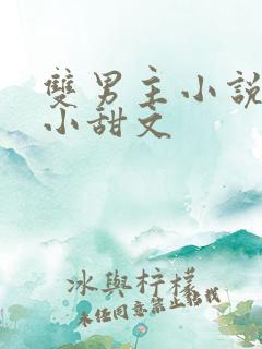 双男主小说推荐小甜文