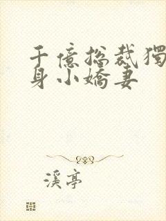 千亿总裁独宠替身小娇妻