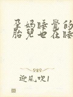 孕妈睡觉的时候胎儿也在睡觉吗