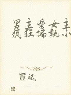 男主爱女主爱到疯狂偏执小说