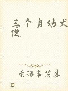 三个月幼犬拉软便