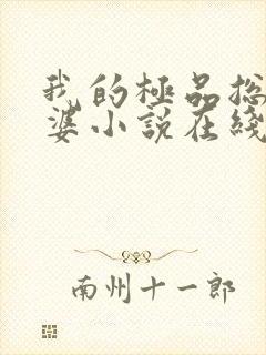 我的极品总裁老婆小说在线阅读