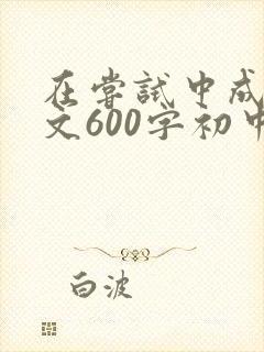 在尝试中成长作文600字初中优秀作文