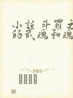 小说 斗罗之我的武魂和魂环能自己修炼