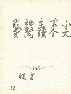 武神主宰小说免费阅读全文下载