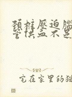 颈椎压迫脑部血管供血不足