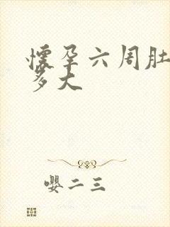 怀孕六周肚子有多大