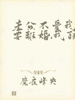 老公不爱我了,要离婚,我该怎么办