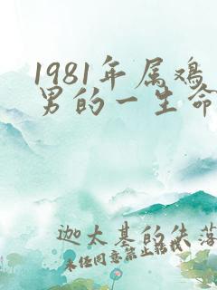 1981年属鸡男的一生命运