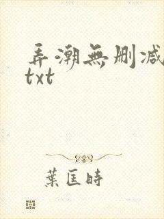 弄潮无删减精校txt