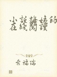 小说梅姨的秘密在线阅读