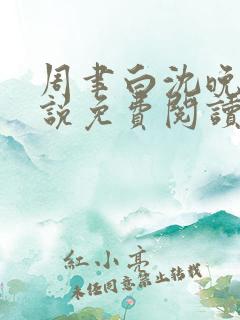 周聿白沈晚棠小说免费阅读全文