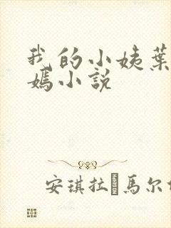 我的小姨叶凡司嫣小说